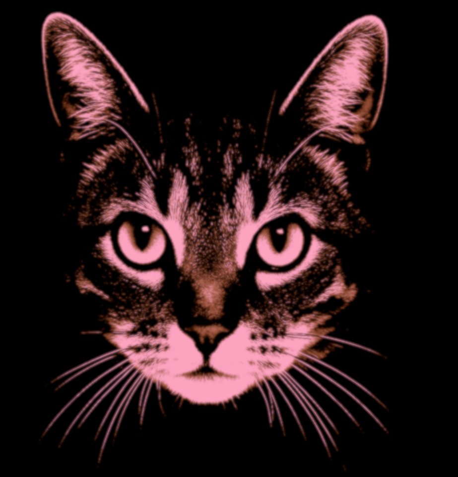 glowing cat